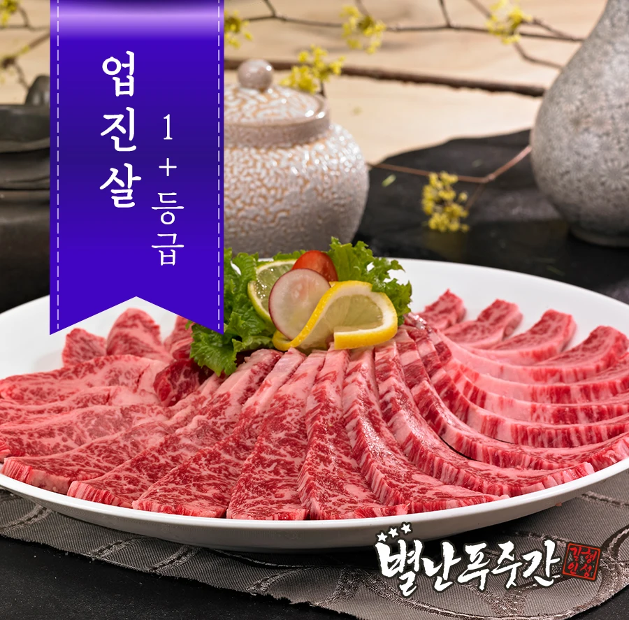 [Agricultural Cooperatives Safe Hanwoo] Cone (1) Hanwoo Up Chilling 500g/Grilled (Refrigerated)