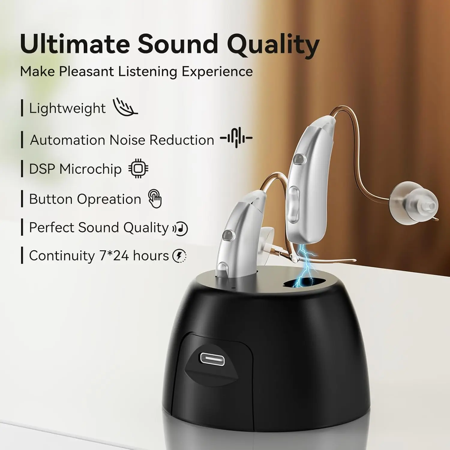 Amplificateur de son à réduction de bruit rechargeable BTE 220MS, aide auditive confortable, facile à utiliser pour les personnes âgées souffrant de perte auditive sévère