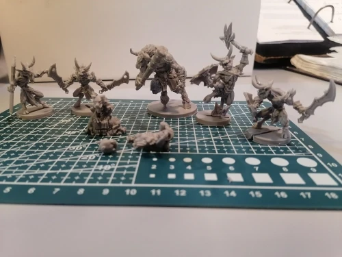 Buyer photo of this resin kit