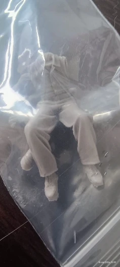 Buyer photo of this resin kit