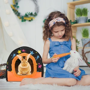 7 Hauptverkaufshaus groß für Coelho - №1