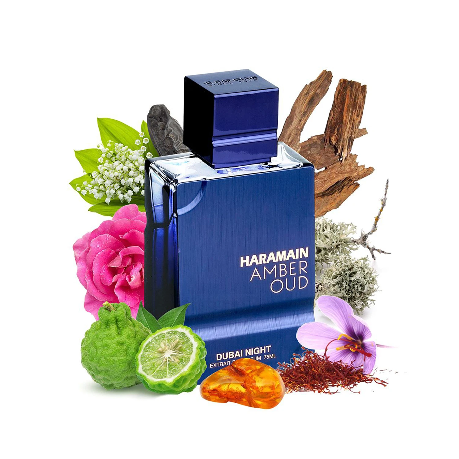 Al Haramain Amber Oud - Dubai Night - Cologne for Men and Women - Bergamot, Tonka Bean Fragrances - Long Lasting Perfume for Men and Women - 2 oz view 5