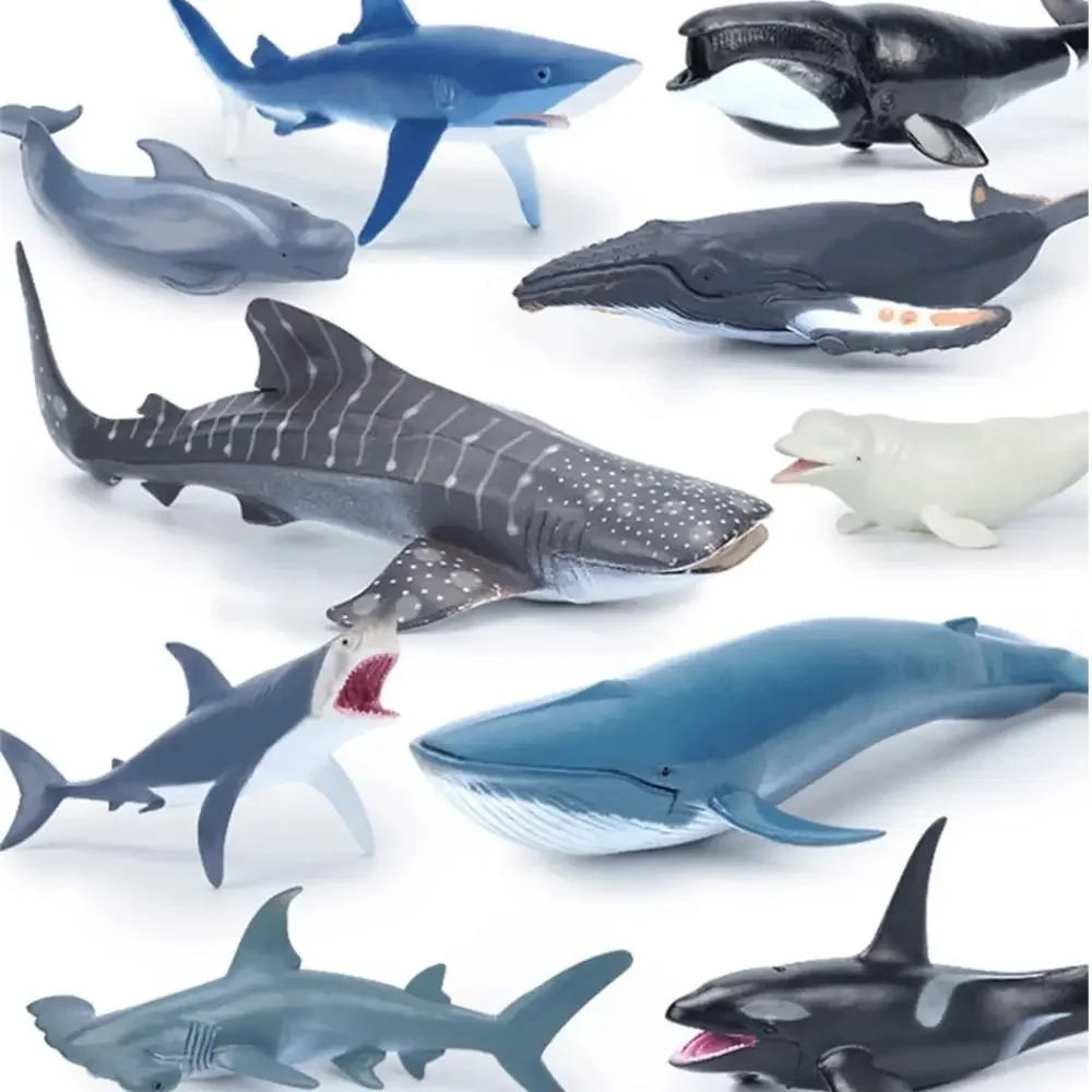 Figurines d'action de baleine de la vie marine, requin d'Auckland, cachalot, modèle d'animal océanique, jouets de simulation DolDave Hammerhead