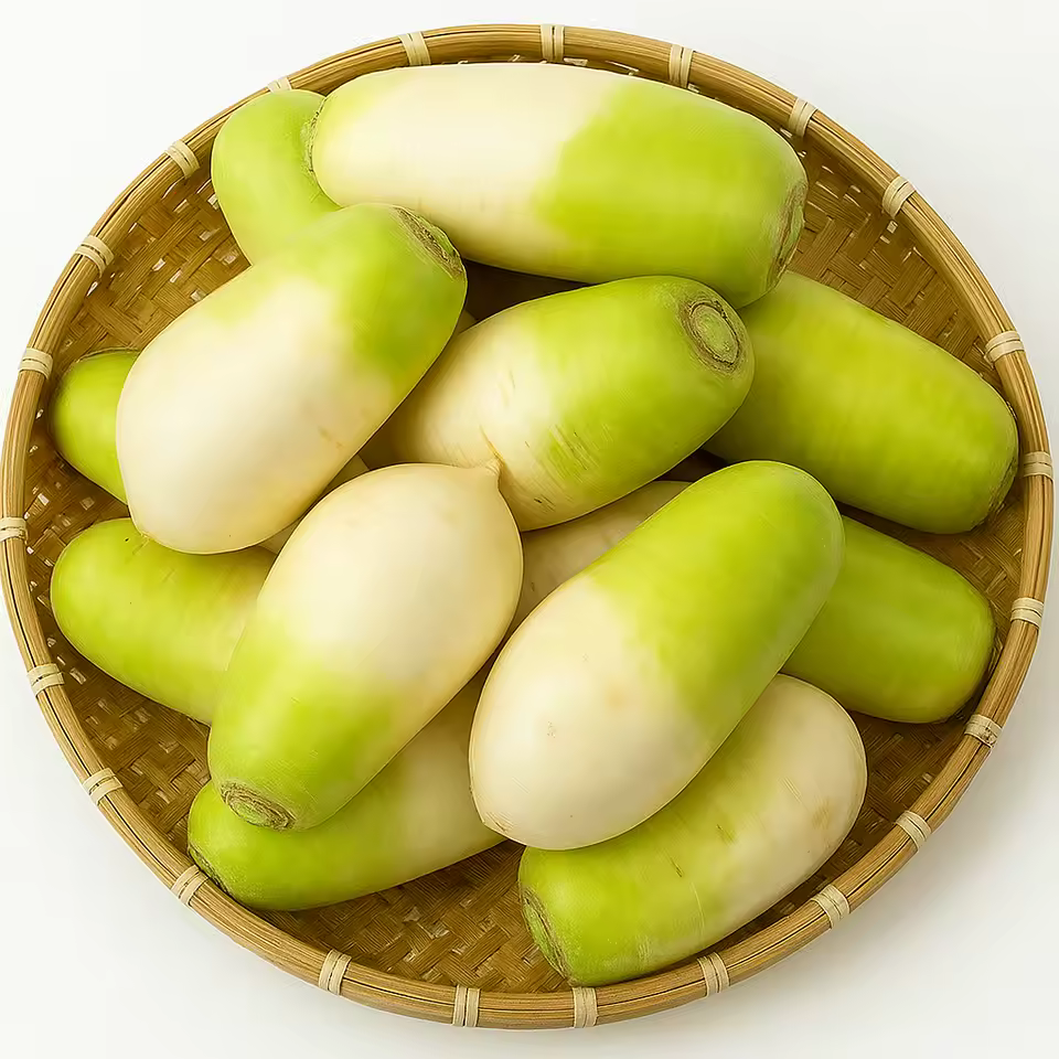 3. 제주 바람 맞고..