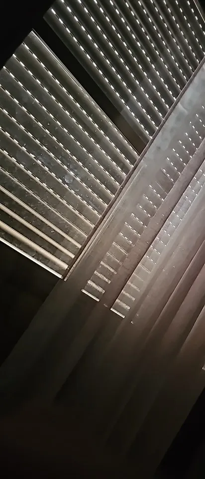 실물 포토 리뷰