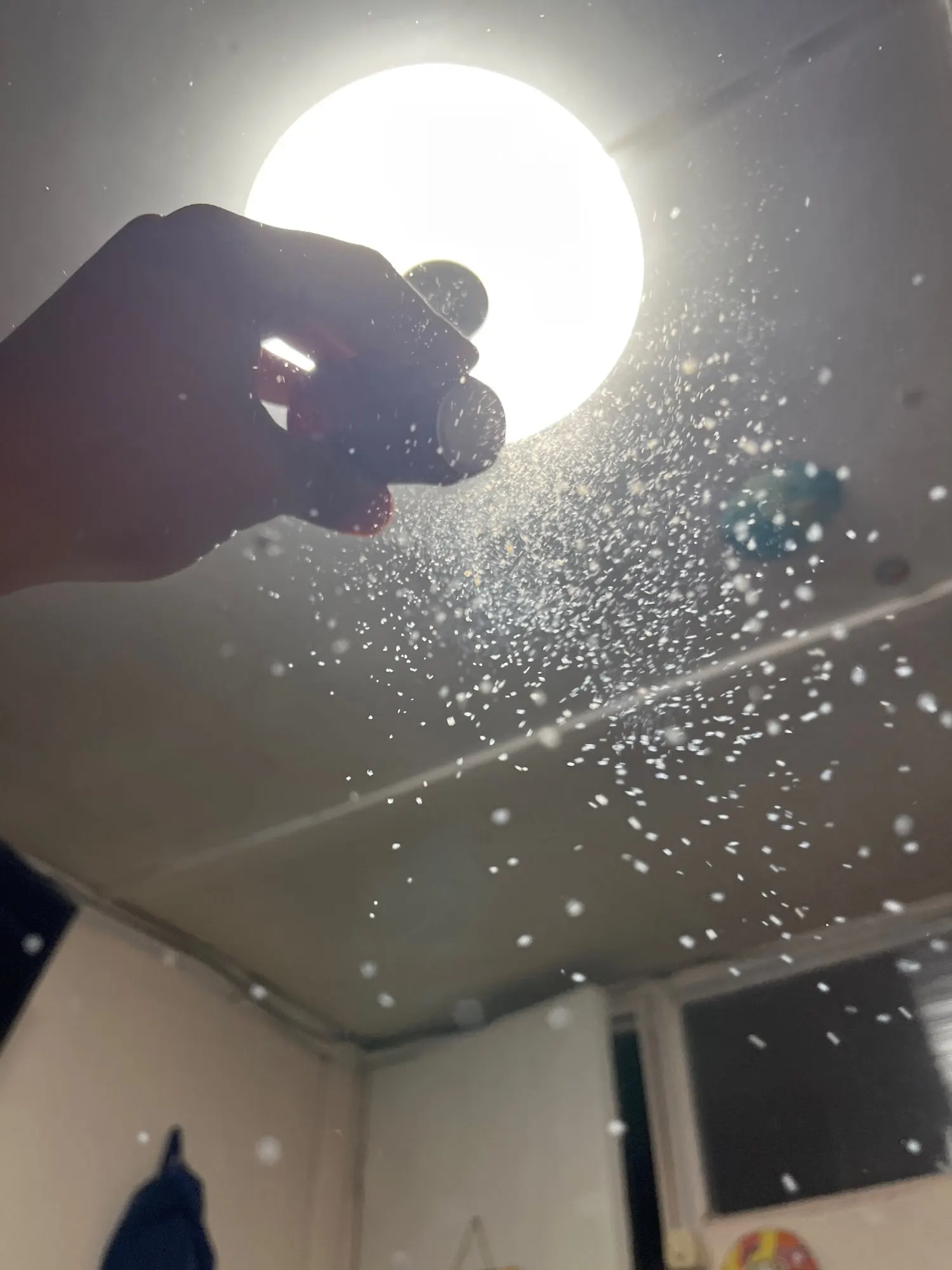 리뷰 사진