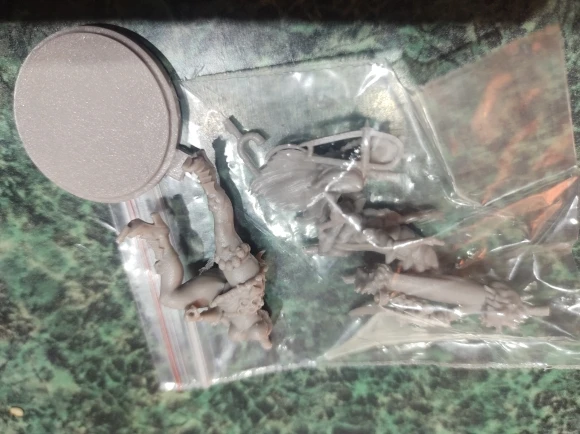 Buyer photo of this resin kit