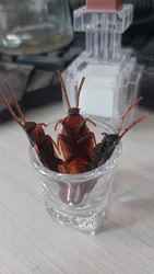 Imagen de reseña 2
