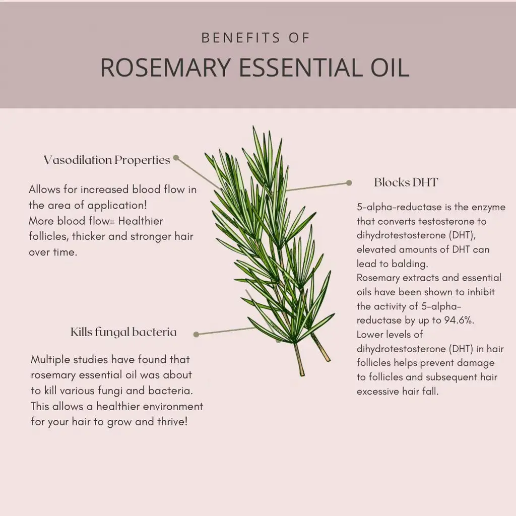 Hair Growth Oil Rosemary Essential Oil Anti-frizz Anti Hair Loss Hairs Smooth Serum Hairs Care Indoor Aromatherapy Massage Oil