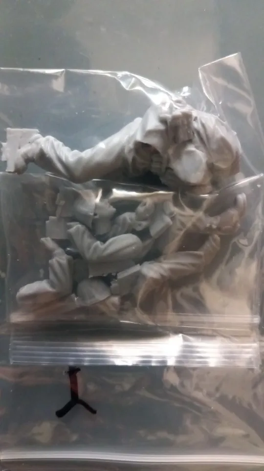 Buyer photo of this resin kit