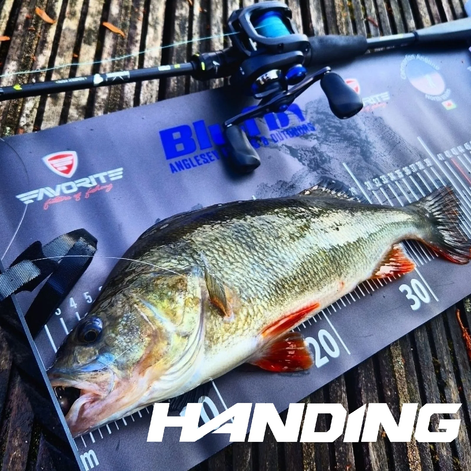 [De Pologne] Canne à pêche à la basse HANDING M1 avec anneaux Fuji O+A, blank en fibre de carbone 24T, poignée, pour la pêche au bar 1.68-2.13m