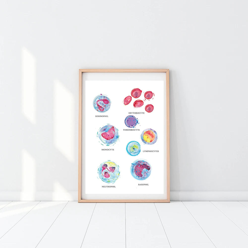 Physician Blood Cell Anatomy Wall Art Physician Canvas Print Watercolor Hematology Painting Poster Biology Medical Gift Decor