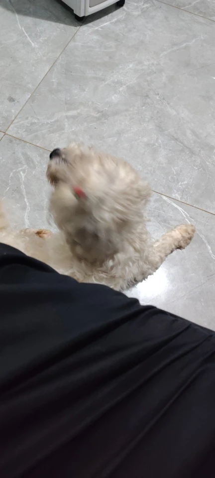 리뷰 사진