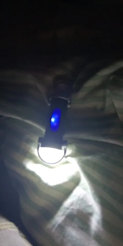 실물 포토 리뷰