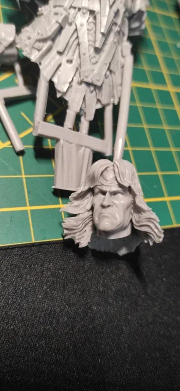 Buyer photo of this resin kit