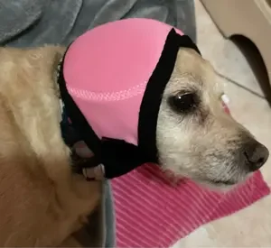 Foto de un comprador