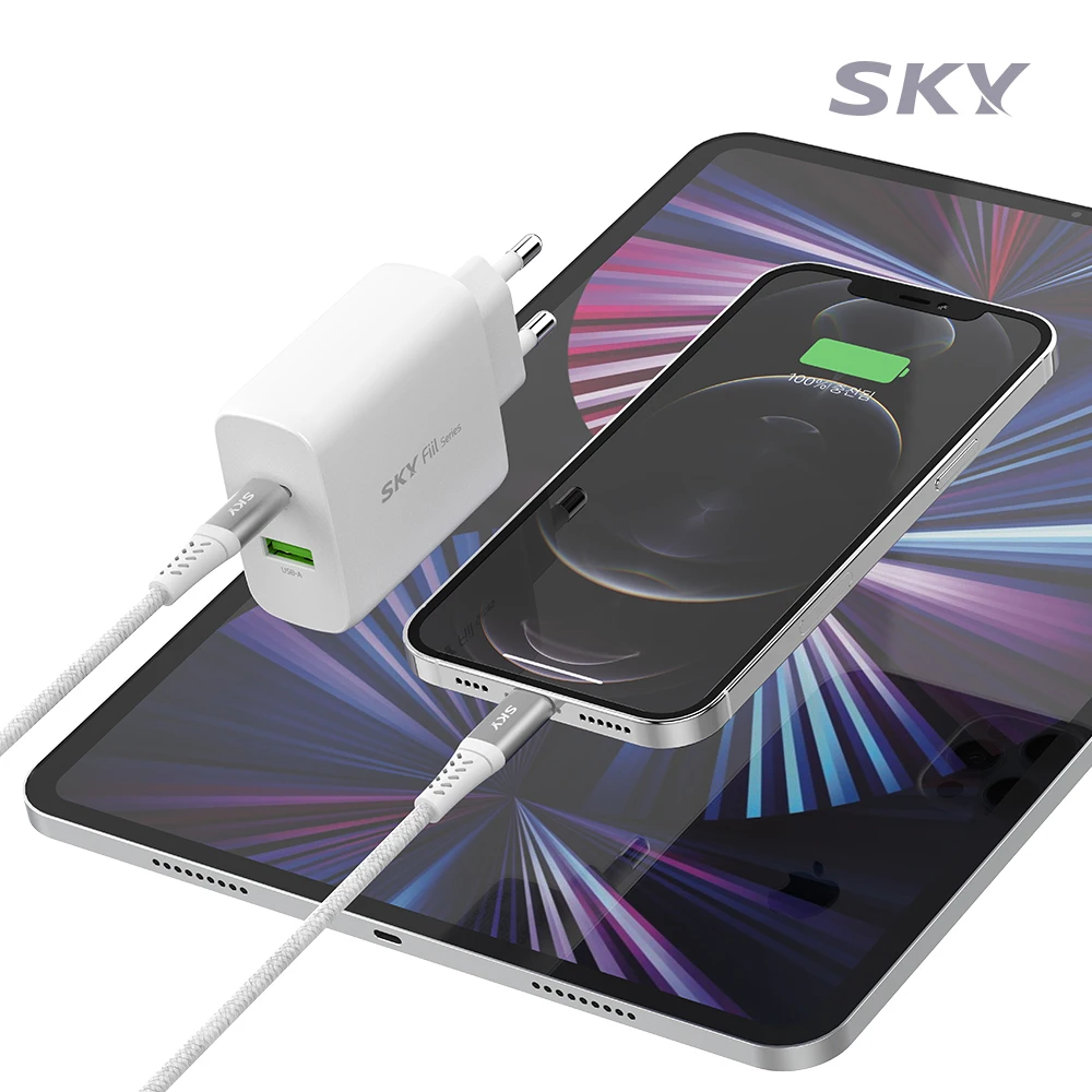 Sky Phil Q2A45W Dual Multi-Speed Charger + CtoC Cable