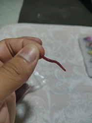 Imagen de reseña 2