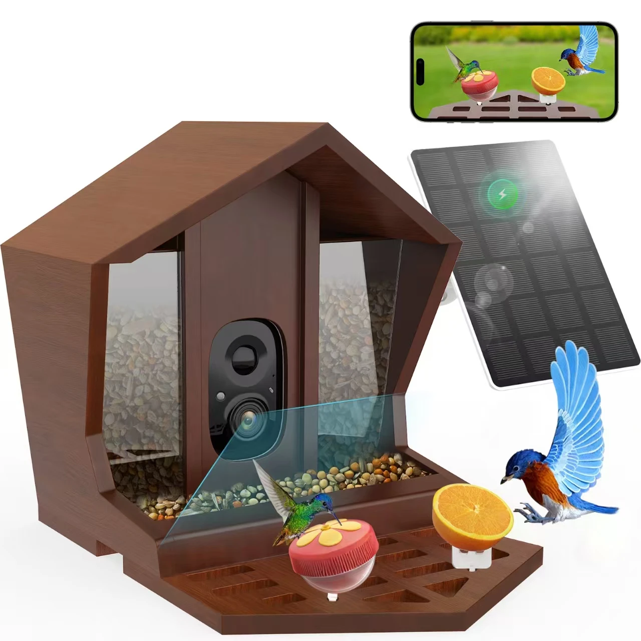 

Smart Bird Feeder with Camera Solar Powered, 2K HD AI Identifies 10000+ Birds Auto Capture，Real Time Video 140° Live Stream