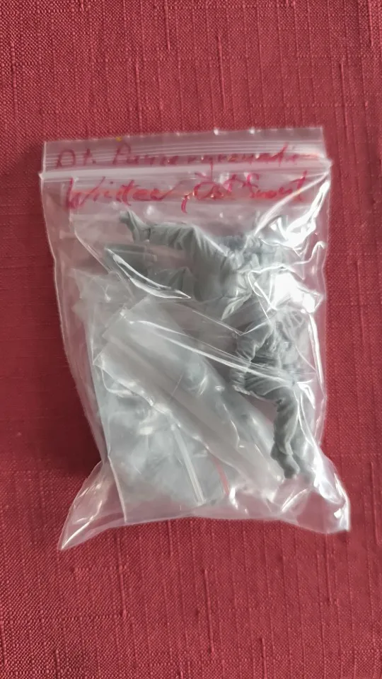 Buyer photo of this resin kit