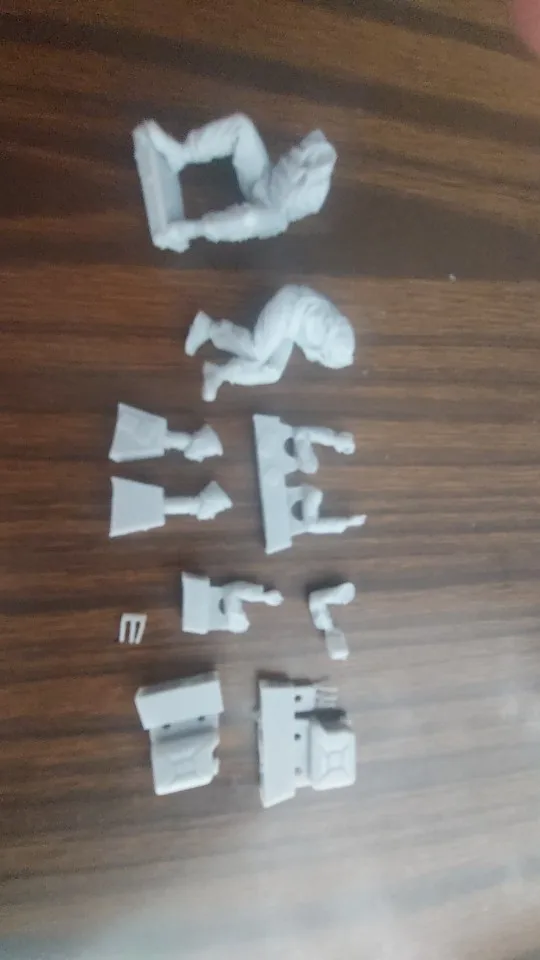 Buyer photo of this resin kit
