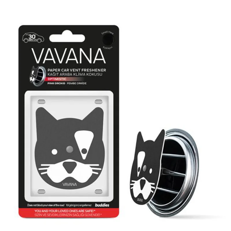 Paper Car Vent Freshener Varieties 10cm*2.5cm*19cm Interior Smell Does Not Contain Carcinogens Naturel High Quality