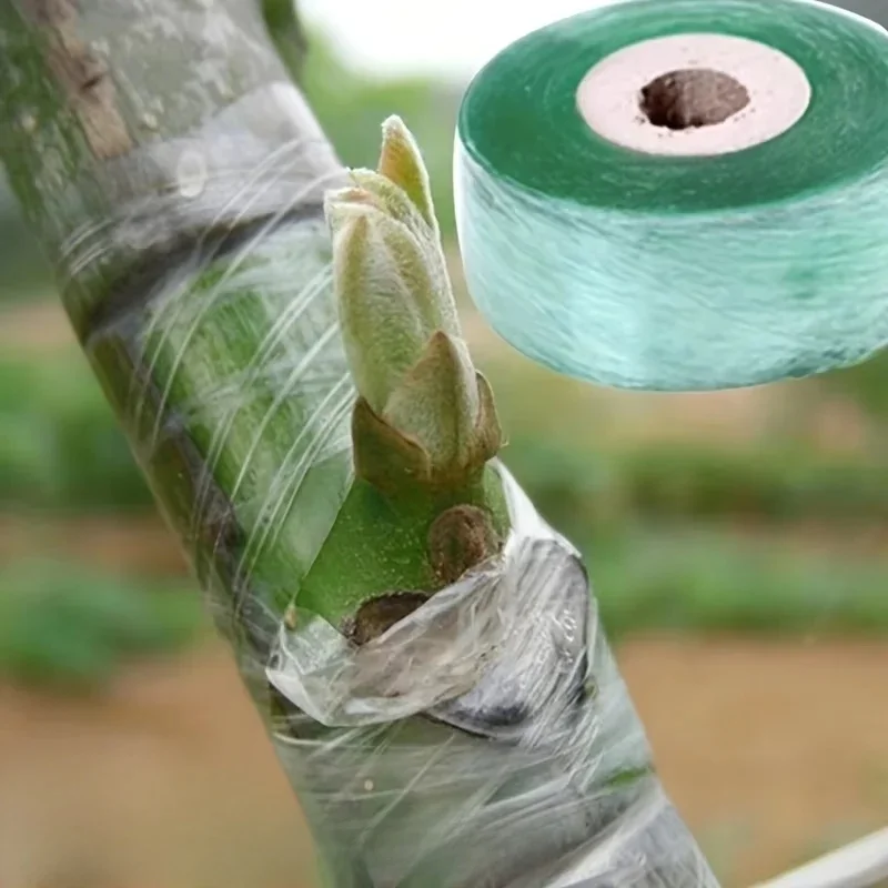 Film de ruban de greffage PE auto-adhésif extensible, plantes d'arbres de jardin, semis, vigne, tomate, accessoires de greffage