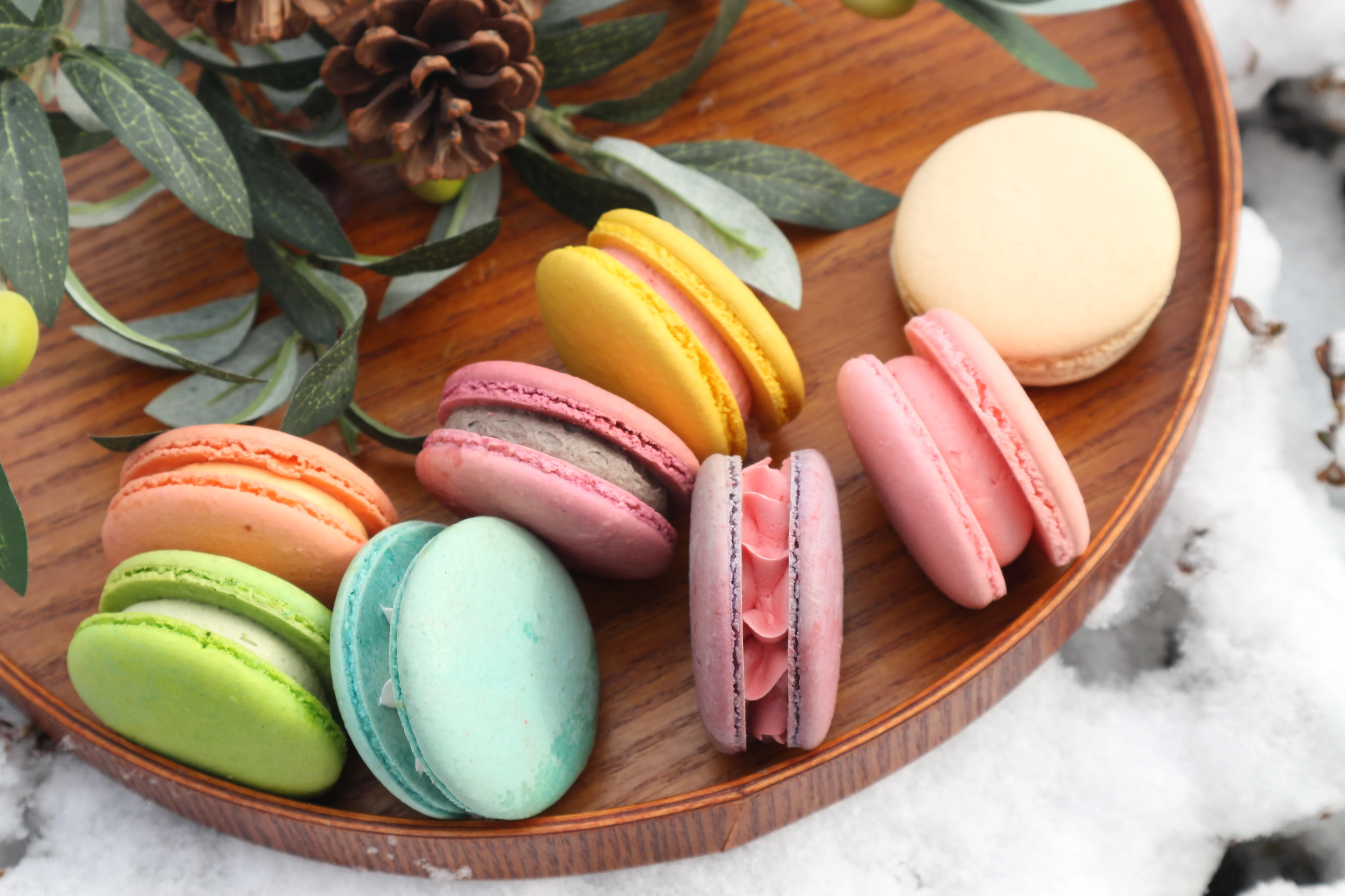 콩콩 프렌치 마카롱 12가지맛