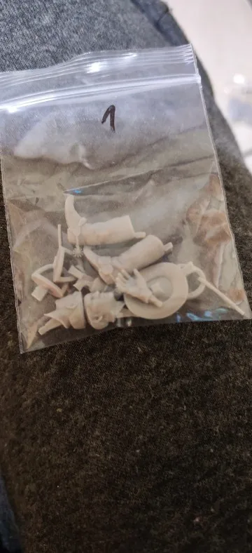 Buyer photo of this resin kit