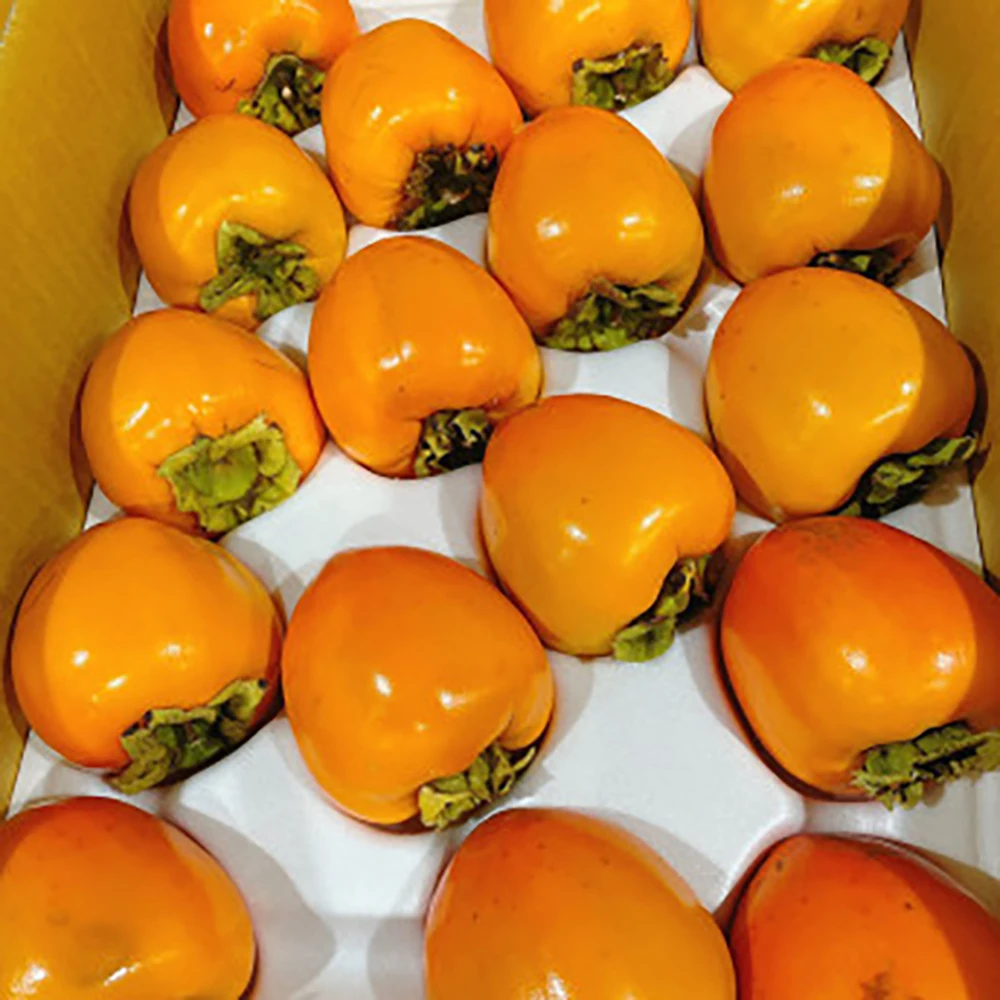 Golden fruit dried persimmon Dae bongam dongbongsi Hongsi Persimmon 5kg 10kg