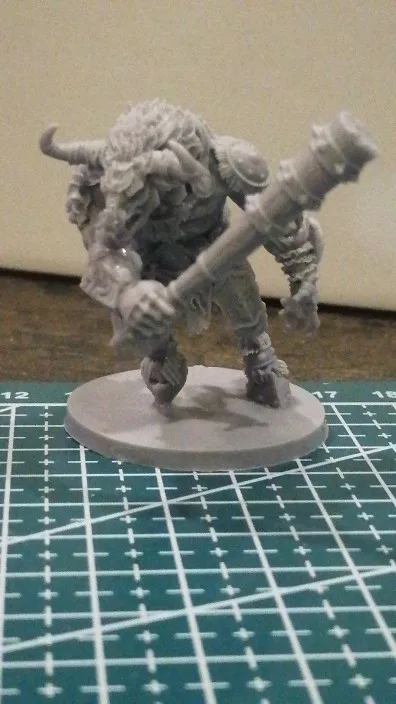 Buyer photo of this resin kit