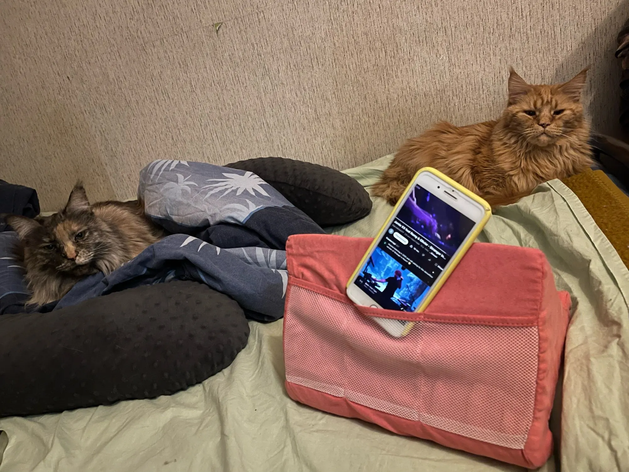 리뷰 사진
