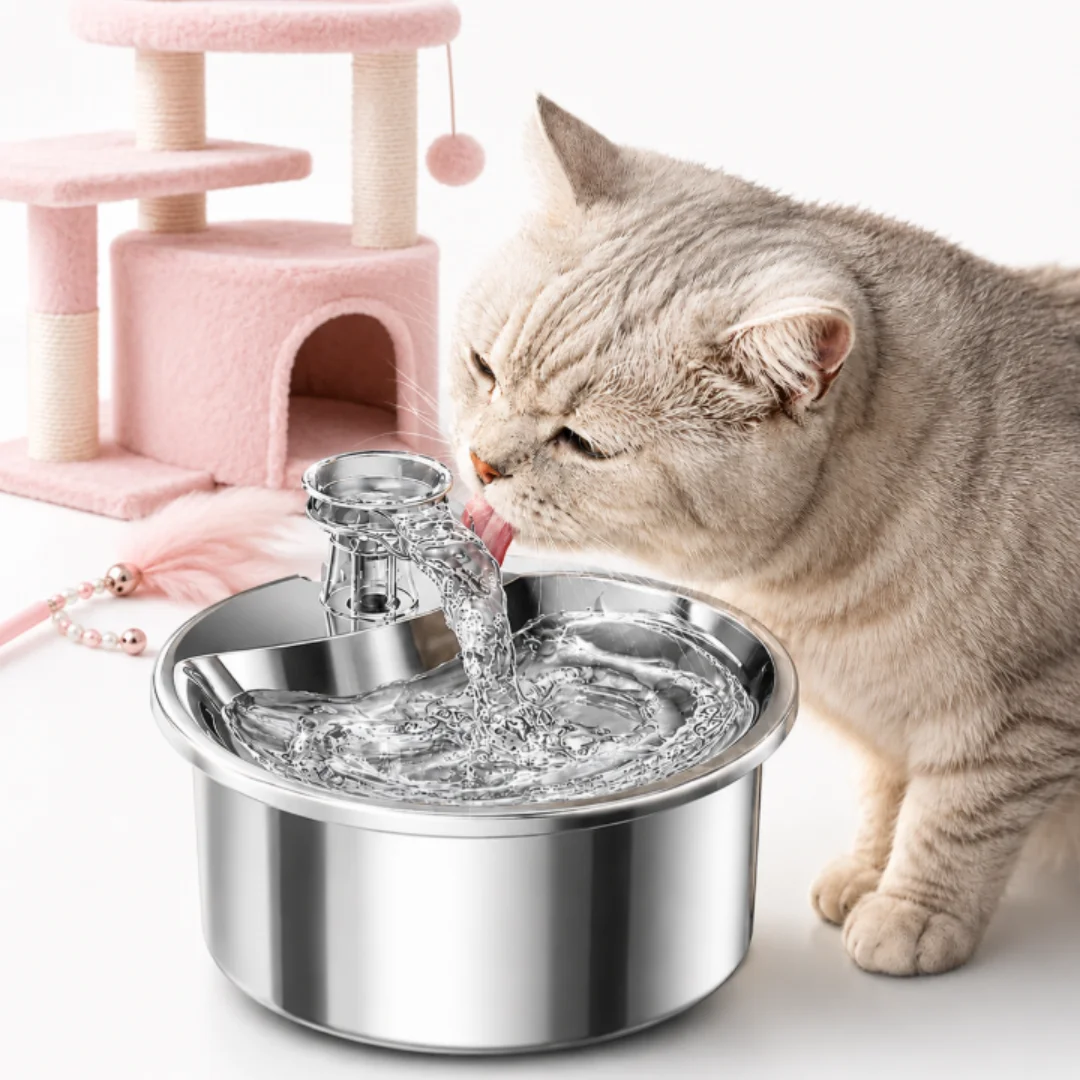 Fontaine à eau pour chat en acier inoxydable 2L, distributeur d'eau pour animaux de compagnie 304, silencieux, circulation d'eau 5V, protection contre le fonctionnement à sec, prise EU