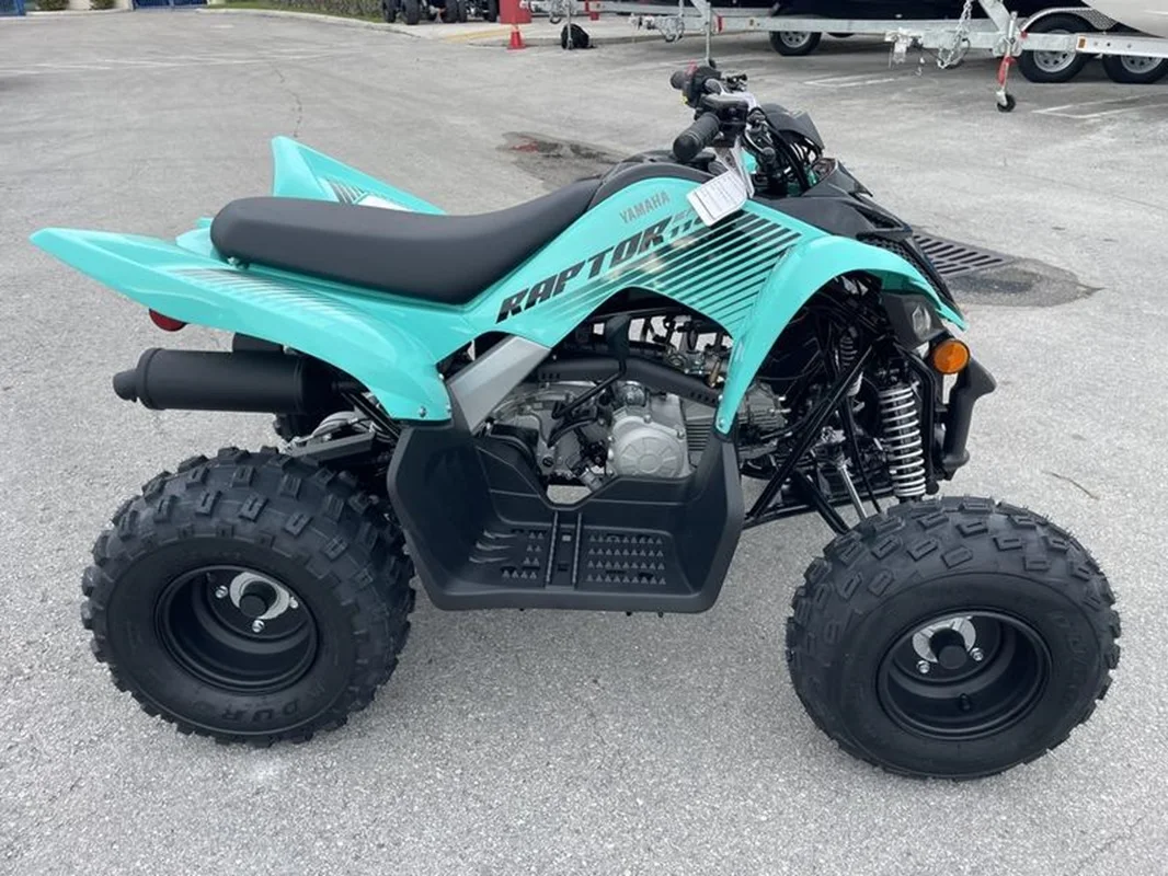 Original 2024 Yamas Raptor 110 Recreation/Utility