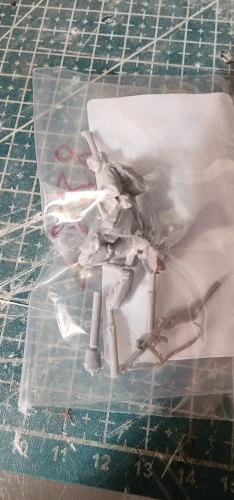Buyer photo of this resin kit
