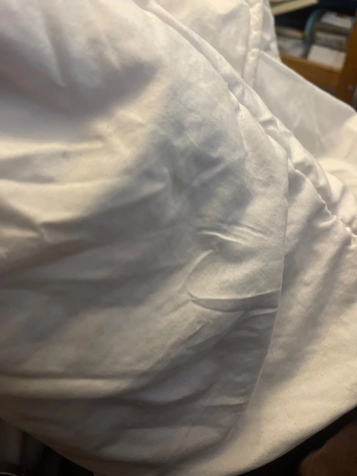 실물 포토 리뷰