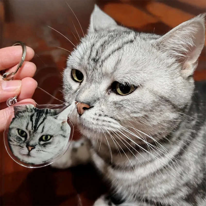 

Отправить фото по индивидуальному заказу Kawaii French ies брелок для женщин аксессуары сумка Подвеска DIY собака бульдог брелок кольцо брелки