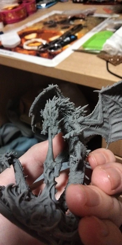 Buyer photo of this resin kit