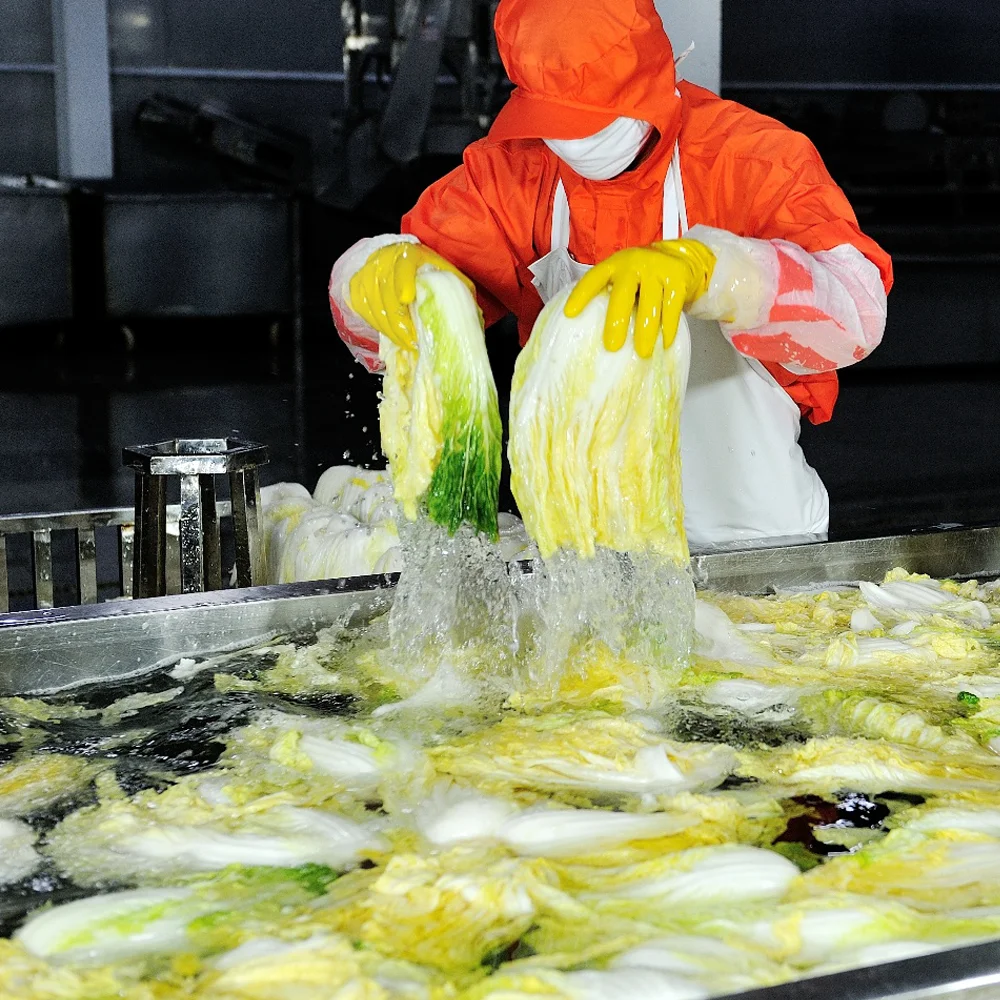 시원포기김치 10kg (수입) Kimchi - 4