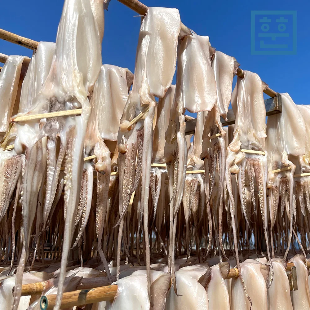 semi-dried squid A side dish of alcohol Size selectable in Pohang Guryongpo