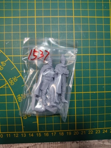 Buyer photo of this resin kit