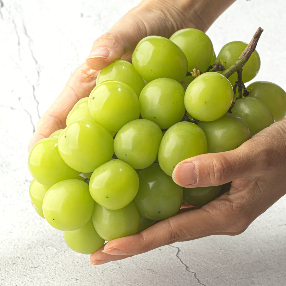 고당도 샤인머스켓 수출용 프리미엄