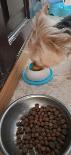 실물 포토 리뷰