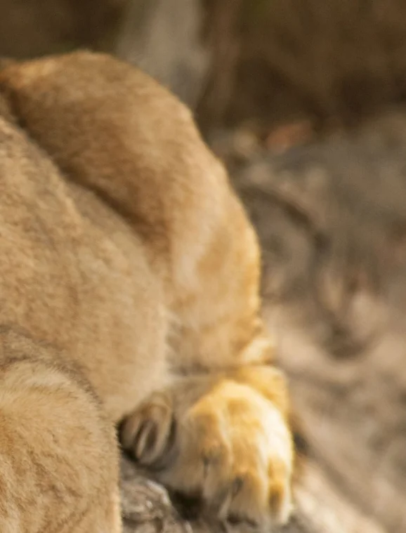 

Доплатите разницу в стоимости перевозки.