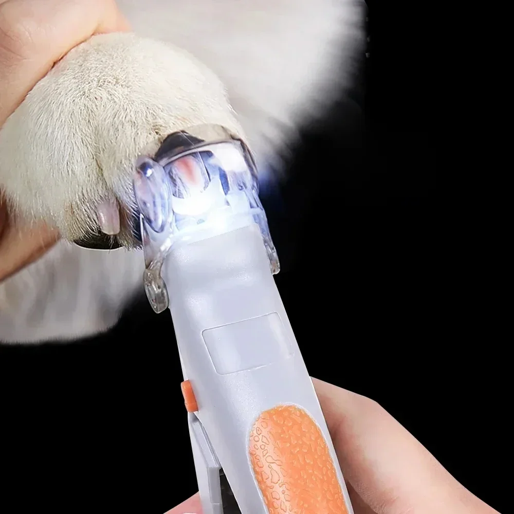 Ciseaux professionnels pour coupe-ongles pour animaux de compagnie, avec lumière LED, pour chat et chien, outil, ciseaux pour couper les griffes des orteils, fournitures pour animaux de compagnie