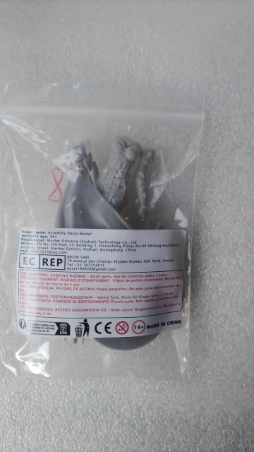 Buyer photo of this resin kit