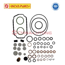 1467010467 Fuel Injector Pump Seal Kit For Bosch VE Diesel Injection Pump Rebuilt Gaskets Kits 1 467 010 467 RENAULT 5001183547