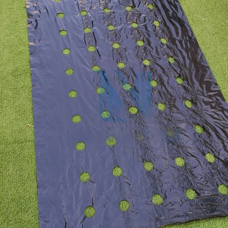 5M ~ 50M 5 Gaten 95Cm Breedte 0.02Mm Zwart Pe Film Tuin Groente Membraan Agrarische Zaaien plastic Geperforeerde Planten Mulchen - afbeelding 2