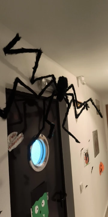 Giant Halloween Spider Indoor & Outdoor Yard, Porch Decor for Haunted House or Home, Party ,Halloween Decorations photo review