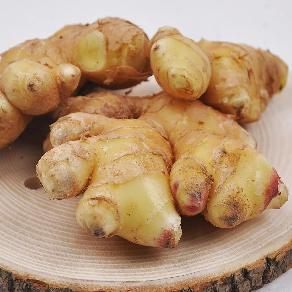 24-year-old Sun regular ginger 1kg ~ 10kg Special